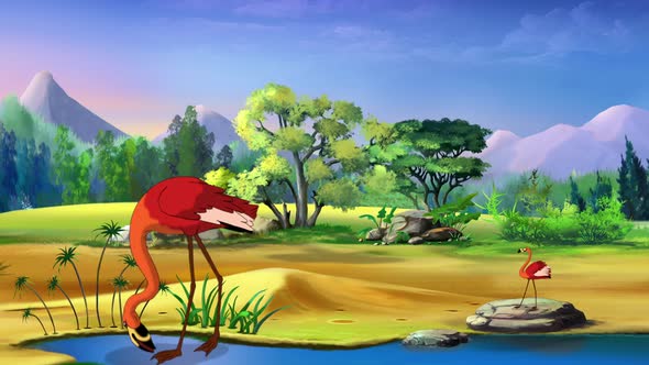 Red Flamigno in Africa on a sunny day alt