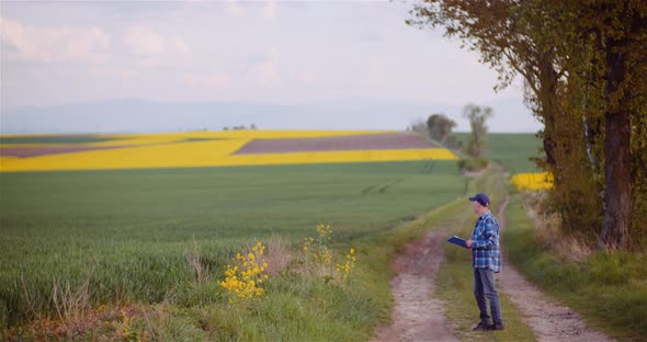 Agriculture Farmer Walking on Agricultural Young Wheat Field Examining Crops alt