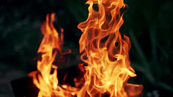 Beautiful bright flame on dark background. Romantic atmosphere of burning firewood alt