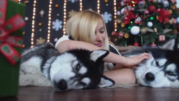 Pretty Woman Lying on the Floor on the Background of the Christmas Tree and Stroking Two Lying Next alt
