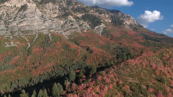 Aerial view flying toward mountain side covered in colorful foliage alt
