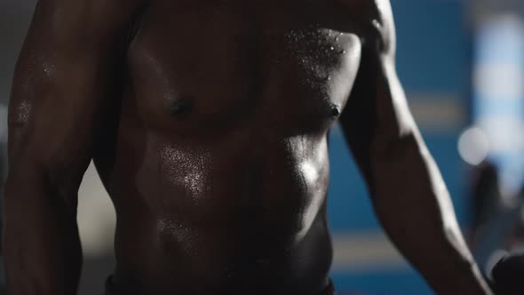 Muscular Male African American Torso Working Out in Gym Indoors alt
