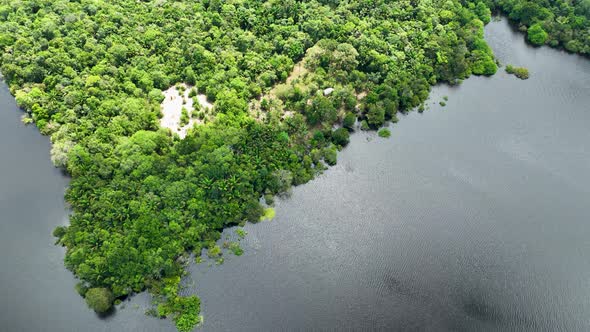 Stunning landscape of Amazon Forest at Amazonas State Brazil. alt