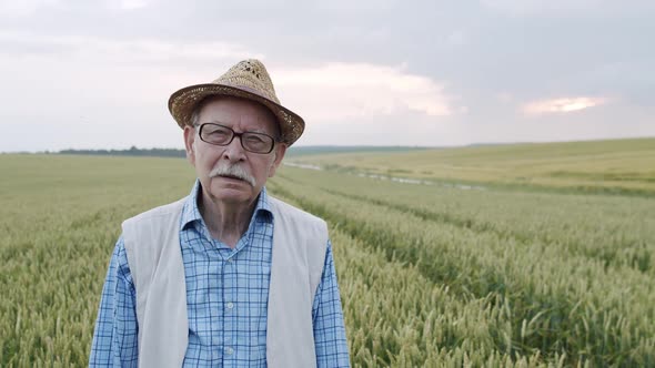 Portrait of Thoughtful Senior Farmer Walks and Looks at Camera in Wheat Field alt