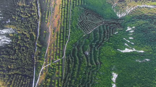 Aerial View Vertically Down on the Valley with Green Trees in White Canyon alt