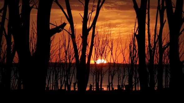 Epecuen Lake at Sunset, in Buenos Aires Province, Argentina. alt