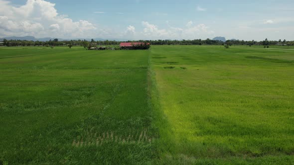 The Travel Heaven of Langkawi, Malaysia alt