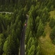 Car Driving On The Forested Road In The Mountains - VideoHive Item for Sale