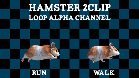 Hamster 2 Clip Loop