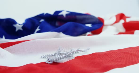 Dog tag chain on an American flag alt