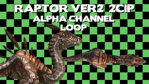 Raptor V2 Walk Loop 2Clip Alpha