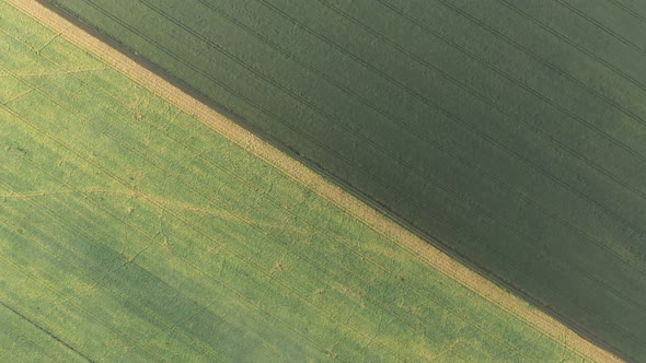 High above fields of cereals 4K aerial footage