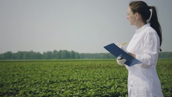 Female agronomist in the field alt