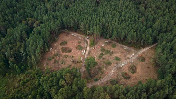 Aerial video of cutting trees