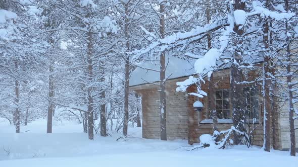 Wooden House in the Forest and Snowfall