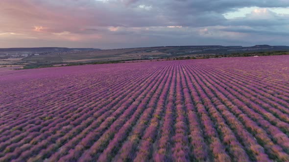 Aerial Nature Landscape Video