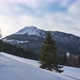 Alpine Winter Landscape in Spruce Forest - VideoHive Item for Sale