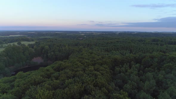 Aerial Shot of Deciduous Forest