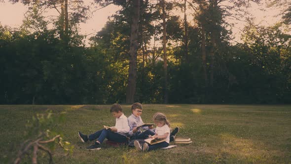 Schoolboys Prepare for Tests with Little Girl on Lush Meadow alt