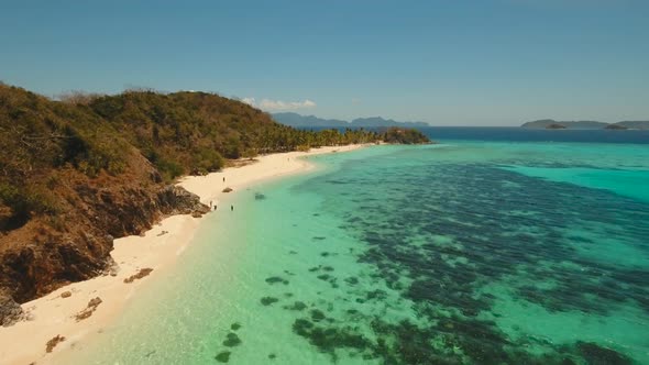 Beautiful Tropical Island alt