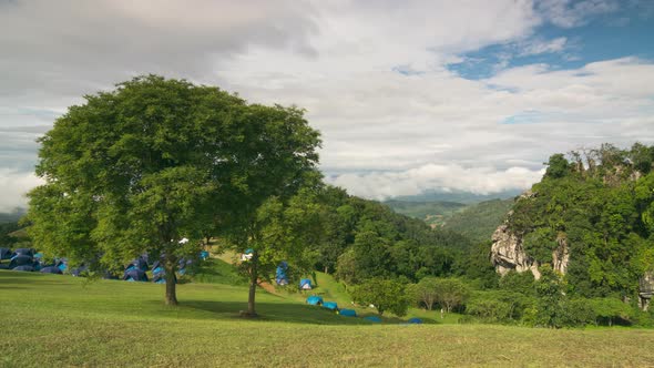 Atmosphere in the morning fog, alt