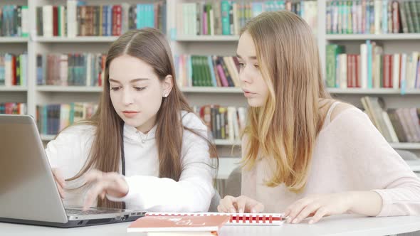 Teen Girls Enjoying Studying Together at the Library alt