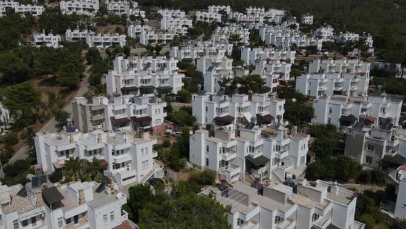 White Architecture Forest Pine alt