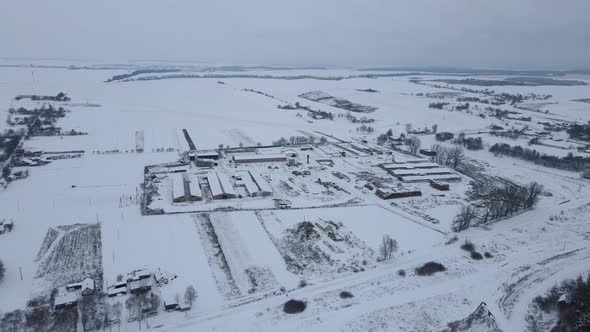 A Large Dairy Farm for Breeding Cows is Covered with Snow alt