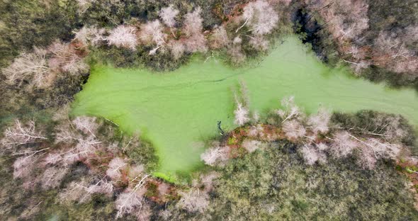 Aerial view of a nature area in Limburg, Netherlands. alt