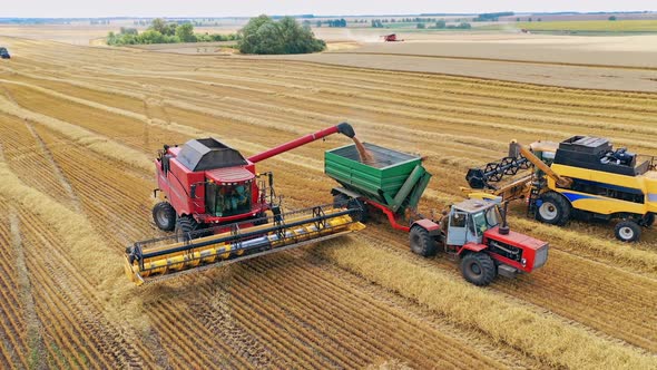 Harvesting field with combine. Aerial view on the combines and tractor working on the large wheat fi alt