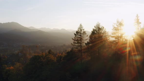 Aerial View Flight Over Mountain Village and Pine Trees Backlit with Golden Evening Sun Light alt