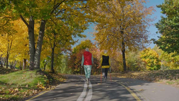 Two Aged Women Doing Nordic Walking in Fall City Park on a Sunny Day Back View alt