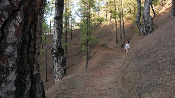 Young Active Woman Hiking Along Beautiful Green Forest Taburiente National Park