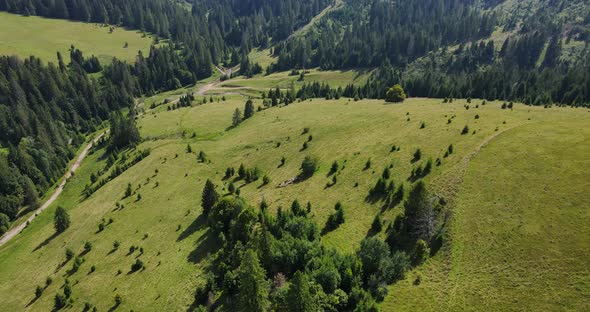 Flight Over Mountains Covered With Dense Forests