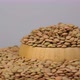Raw brown lentils on white background. - VideoHive Item for Sale