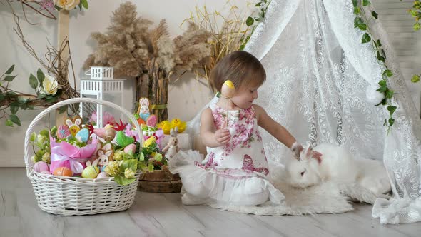 Little Girl in a Beautiful Dress is Ironing a Cute White Rabbit on Easter Holiday alt