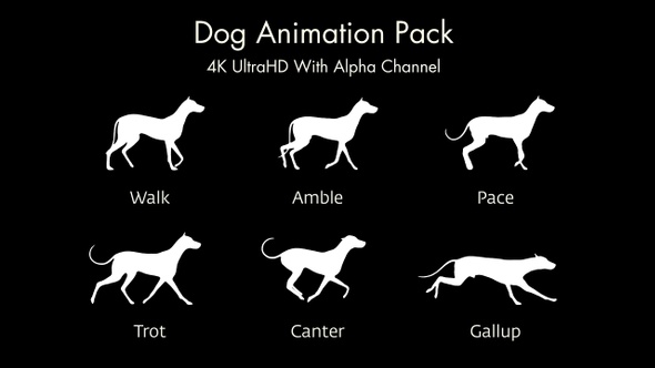 Dog Animation Pack