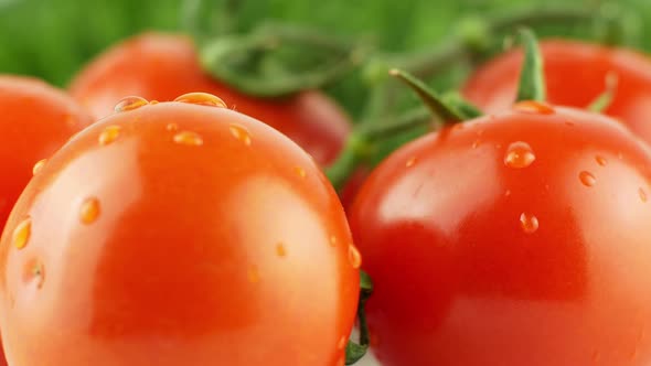 Cherry tomatoes close-up. Rotating on a green background Macro shot. Garden, gardening concept. alt