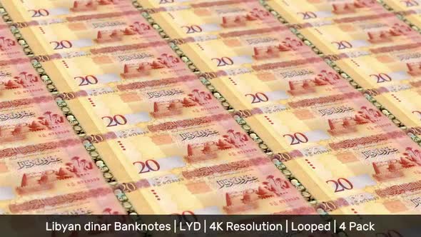 Libya Banknotes Money / Libyan dinar / Currency LD / LYD / 4 Pack - 4K alt