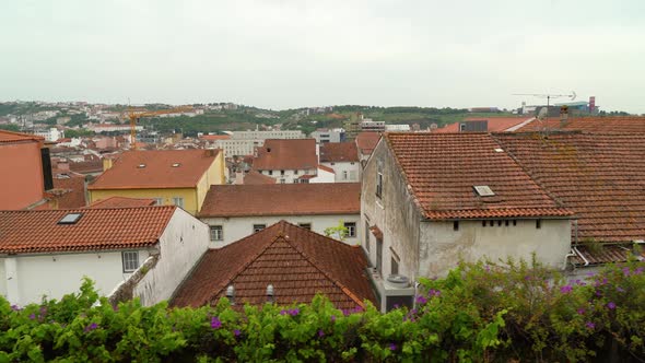 Red Tile Roofs of Houses in Coimbra in Portugal