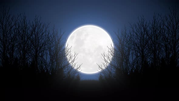 Big Full Moon Forest In The Moonlight Loop 4k