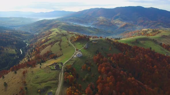 Aerial Shot Mountain Forest