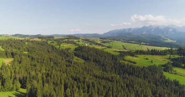 Flying Over the Beautiful Forest Trees. Landscape Panorama. alt