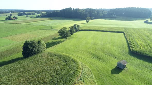 Aerial view of green rural landscape with corn fields, Germany alt