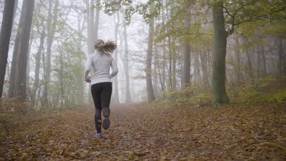 Slow Motion Sport Video Following Woman Jogging on Foggy Day in Autumn Forest
