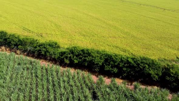 Farming landscape at countryside rural scenery. alt