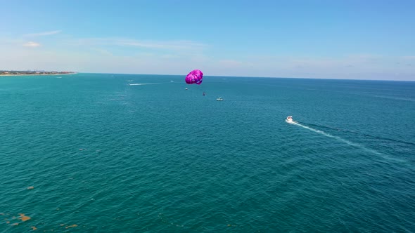Purple Parasailing in the Atlantic Ocean in South Florida alt