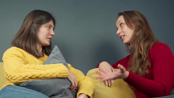 Two Smiling Girls Discussing Gossip on Cozy Sofa Girls Make Highfive Gesture