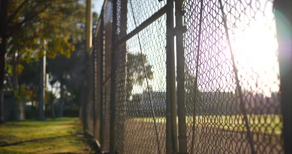 Rising up along a chain link fence gate with locks on it at sunrise outside of a grass baseball fiel alt