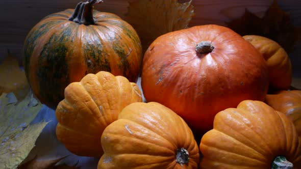 Ripe Orange Pumpkins on a Wooden Board with Yellow Maple Leaves alt